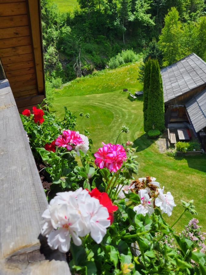 Appartements Hoeller Sankt Lorenzen ob Murau Exterior photo